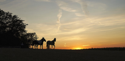 Fototour Fototour DSC01108