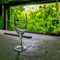 Keine Erholung mehr in der Waldsauna