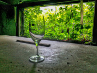 Keine Erholung mehr in der Waldsauna