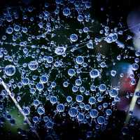 Wassertropfen1 Wassertropfen1