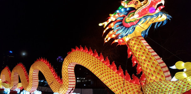 China Lights