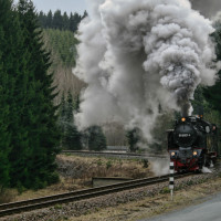 Dampflok der Harzer Schmalspurbahn 
