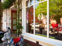 2020.04.23_der_andere_Blick_Much55