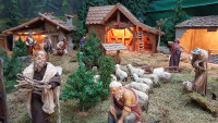 20190126_162915