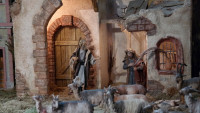 SAM_0615