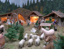 SAM_0634