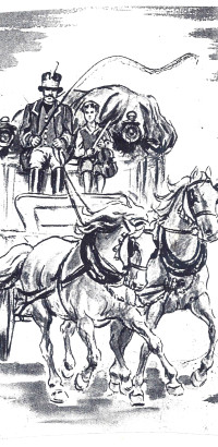 56-WernerTroempert-Kutsche 3