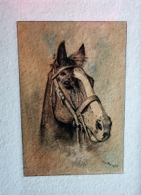 60-WernerTroempert-Pferd K