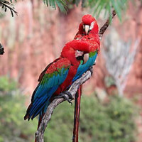 20160325144429 7 20240112700966611 