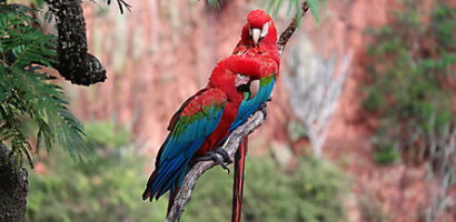 20160325144429 7 20240112700966611 