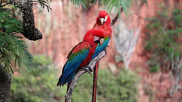 20160325144429 7 20240112700966611 