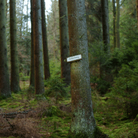 DER SCH&Uuml;RFWEG 2014-2021