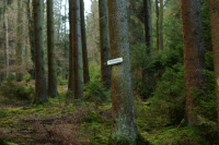 DER SCHÜRFWEG 2014-2021