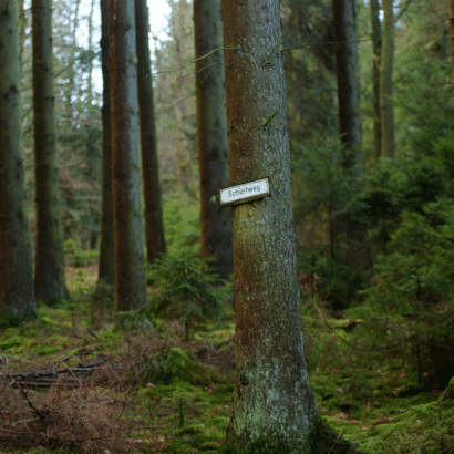 DER SCHÜRFWEG 2014-2021