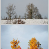Herbst - Winter