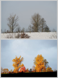 Herbst - Winter