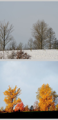 Herbst - Winter