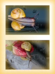 Tempo, kleine Schnecke Tempo, kleine Schnecke
