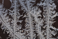 20240219 eiskalt - Fotofreunde Much