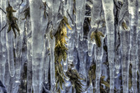 Eisvorhang 2