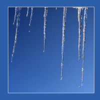 Winterkristalle Winterkristalle