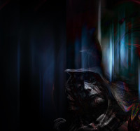 die einen sind im Dunkeln