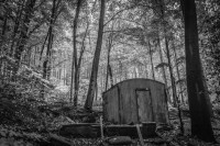 Im Wald bei Waldbröhl