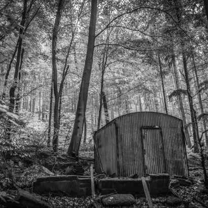Im Wald bei Waldbröhl