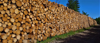 The Wall The Wall