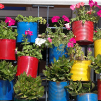 Irgendwo-im-tiefen-Süden