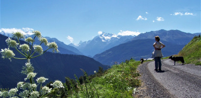 Sicht aufs Matterhorn