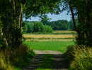 durchblick