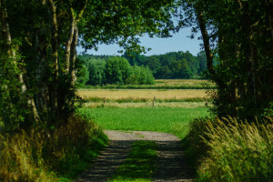 durchblick
