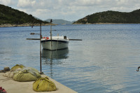 dsc5955 dsc5955