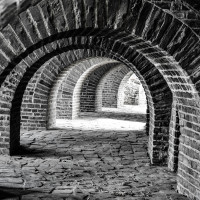 20140913  dsc6622 20140913  dsc6622