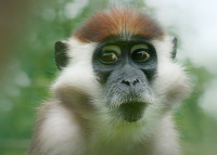 HM_ich bin in Berlin geboren