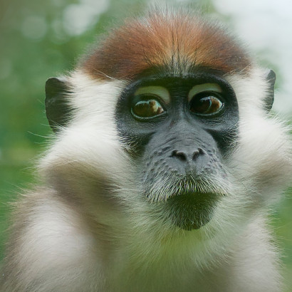 HM_ich bin in Berlin geboren