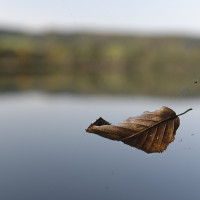 Stille2 Stille2