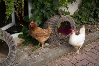 AL-20160729-Hof-Huppenhardt-sRGB_80_300dpi-003