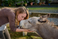 AL-20160729-Hof-Huppenhardt-sRGB_80_300dpi-009