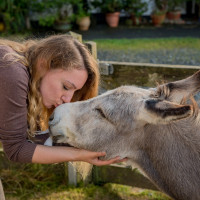 AL-20160729-Hof-Huppenhardt-sRGB_80_300dpi-009