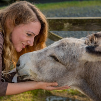 AL-20160729-Hof-Huppenhardt-sRGB_80_300dpi-010