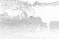 AS-SAM_8676-Zum-Ausmalen