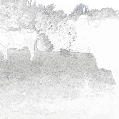 AS-SAM_8676-Zum-Ausmalen