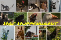 HH-Hof Huppenhardt 2