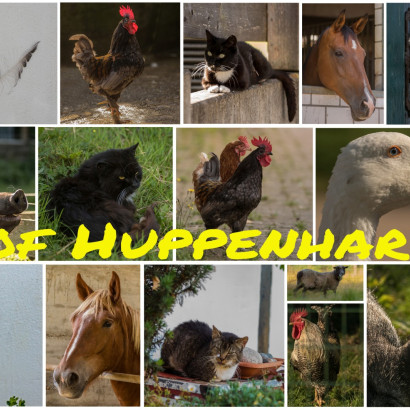 HH-Hof Huppenhardt 2