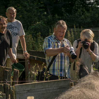 HH Lasst die Sau raus-2