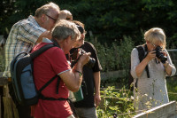 HH Und Äktschn...-1