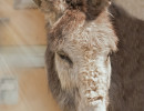 HM_DSC4571