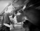 HM_DSC6006 HM_DSC6006